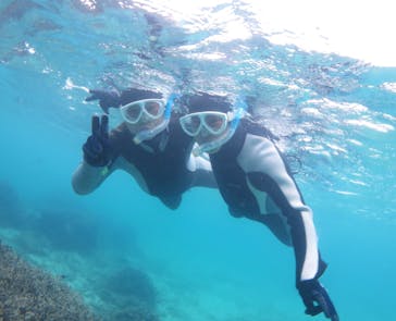 アマミエンシスに投稿された画像（2022/5/26）