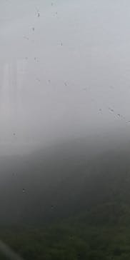 びわ湖バレイに投稿された画像（2022/5/26）