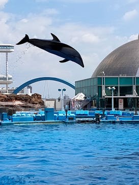 名古屋港水族館に投稿された画像（2022/5/26）