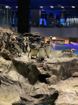 すみだ水族館に投稿された画像（2022/5/26）