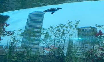 サンシャイン水族館に投稿された画像（2022/5/26）