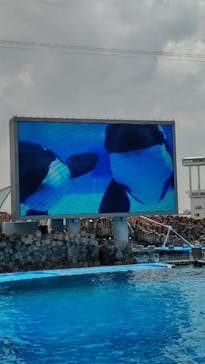 名古屋港水族館に投稿された画像（2022/5/26）