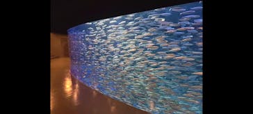 登別マリンパークニクスに投稿された画像（2022/5/26）