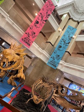 国立科学博物館　特別企画展「ポケモン化石博物館」に投稿された画像（2022/5/26）