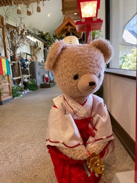 伊豆テディベア・ミュージアムに投稿された画像（2022/5/26）