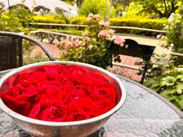 西武園ゆうえんちに投稿された画像（2022/5/26）