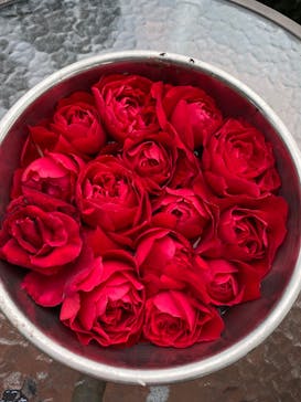 西武園ゆうえんちに投稿された画像（2022/5/26）