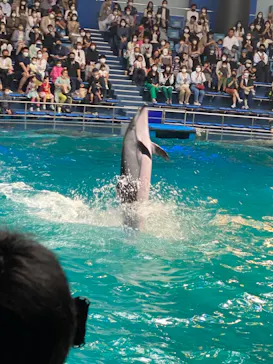 マクセル アクアパーク品川に投稿された画像（2022/5/26）