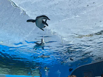 サンシャイン水族館に投稿された画像（2022/5/26）