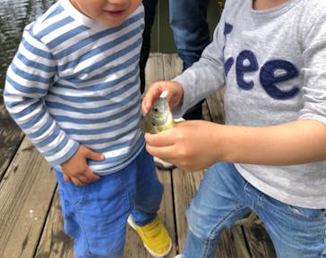 大安トラウトレイクに投稿された画像（2022/5/27）