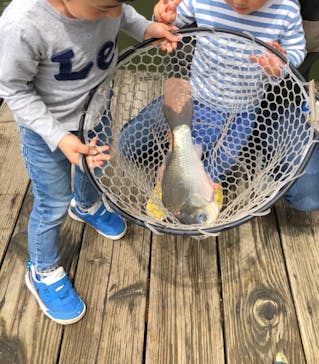 大安トラウトレイクに投稿された画像（2022/5/27）