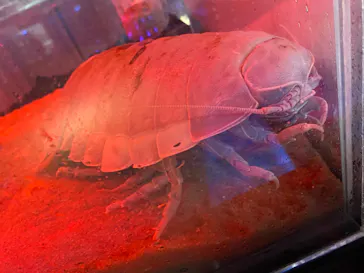 仙台うみの杜水族館に投稿された画像（2022/5/27）