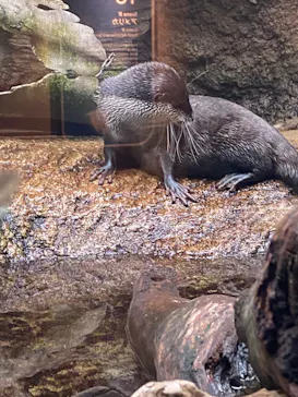仙台うみの杜水族館に投稿された画像（2022/5/27）
