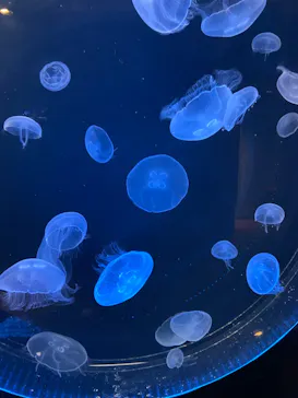 仙台うみの杜水族館に投稿された画像（2022/5/27）