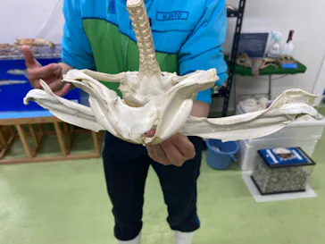 仙台うみの杜水族館に投稿された画像（2022/5/27）