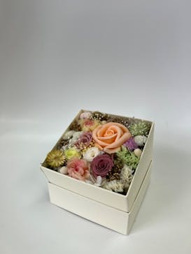 ずこうしつ〜sugamo〜に投稿された画像（2022/5/27）