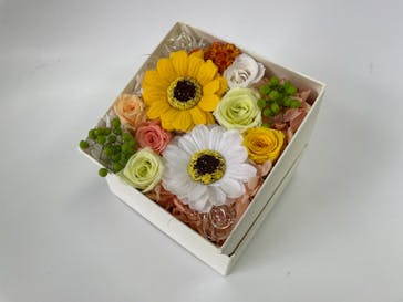 ずこうしつ〜sugamo〜に投稿された画像（2022/5/27）