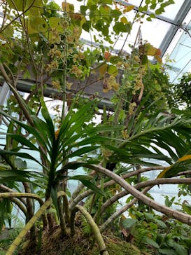 環境水族館アクアマリンふくしまに投稿された画像（2022/5/27）