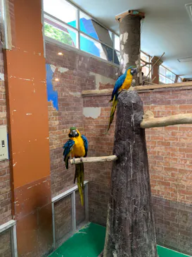 ひらかたパークに投稿された画像（2022/5/27）