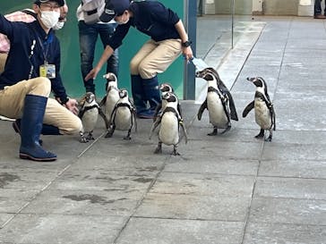 城崎マリンワールドに投稿された画像（2022/5/27）