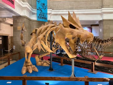 国立科学博物館　特別企画展「ポケモン化石博物館」に投稿された画像（2022/5/27）