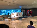 沖縄美ら海水族館に投稿された画像（2022/5/27）