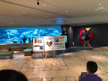 沖縄美ら海水族館に投稿された画像（2022/5/27）