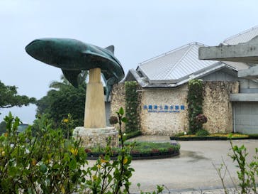 沖縄美ら海水族館に投稿された画像（2022/5/27）