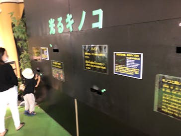 ネオパークオキナワに投稿された画像（2022/5/27）