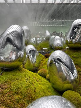 チームラボプラネッツ TOKYO DMMに投稿された画像（2022/5/27）