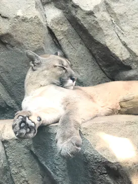神戸どうぶつ王国に投稿された画像（2022/5/27）