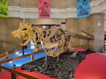 国立科学博物館　特別企画展「ポケモン化石博物館」に投稿された画像（2022/5/27）