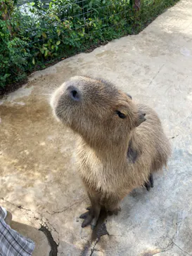 横浜・八景島シーパラダイスに投稿された画像（2022/5/27）