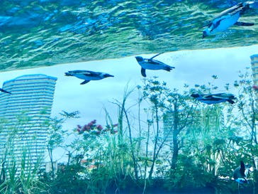 サンシャイン水族館に投稿された画像（2022/5/27）