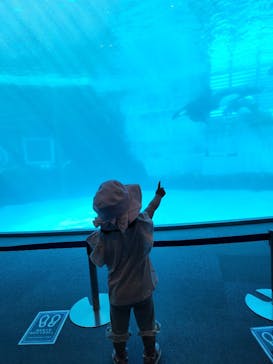 名古屋港水族館に投稿された画像（2022/5/27）