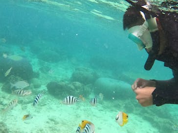 沖縄マリンサービス碧に投稿された画像（2022/5/27）