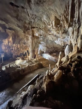 石垣島鍾乳洞に投稿された画像（2022/5/27）