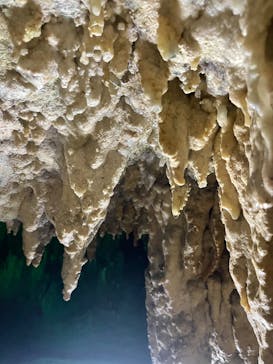 石垣島鍾乳洞に投稿された画像（2022/5/27）