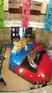 国立科学博物館　特別企画展「ポケモン化石博物館」に投稿された画像（2022/5/27）