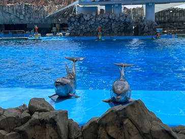 名古屋港水族館に投稿された画像（2022/5/28）