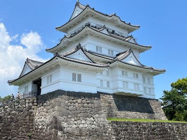 小田原城に投稿された画像（2022/5/28）