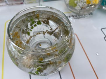 ずこうしつ〜sugamo〜に投稿された画像（2022/5/28）