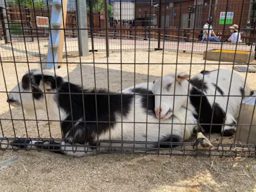 天王寺動物園に投稿された画像（2022/5/28）