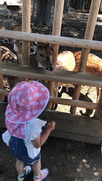 東武動物公園に投稿された画像（2022/5/28）