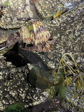 宮古島 ADVENTURE PiPi（ミヤコジマ アドベンチャー ピピ）に投稿された画像（2022/5/28）