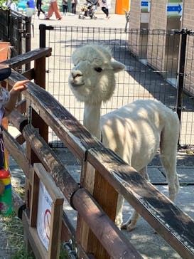 東武動物公園に投稿された画像（2022/5/28）