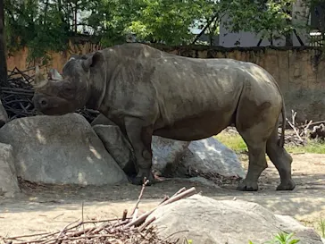 天王寺動物園に投稿された画像（2022/5/28）