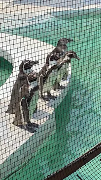 天王寺動物園に投稿された画像（2022/5/28）