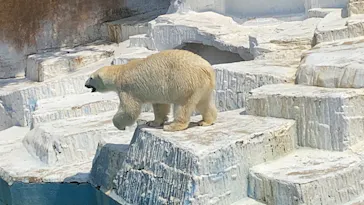 天王寺動物園に投稿された画像（2022/5/28）