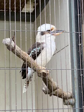 天王寺動物園に投稿された画像（2022/5/28）
